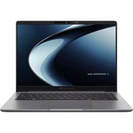 Asus ExpertBook P3 PM3406CKA-LY0471 (90NX0971-M00JE0)