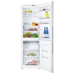 Atlant XM 4621-101
