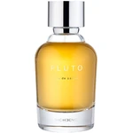 Nicheend Pluto EDP 100 ml