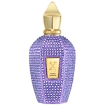 Xerjoff Purple Accento EDP 100 ml
