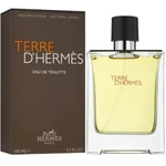 Hermes Terre D'Hermes EDT 100 ml