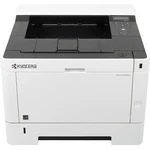 Kyocera Mita ECOSYS P2040dn 1102RX3NL0