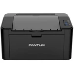 Pantum P2207