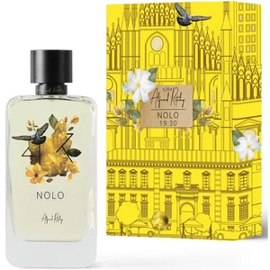 Alfred Ritchy Nolo EDP 100 ml