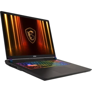 MSI Vector 17 HX AI A2XWJG-223AZ (9S7-17S372-223)