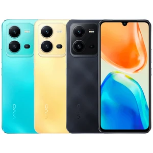 Vivo V25