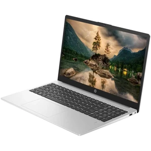 HP 255 G10 (8A548EA)