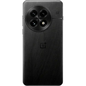 OnePlus 13