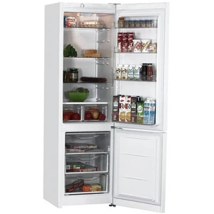 Indesit DS 320 W