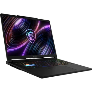 MSI Raider 16 B2WI-060XAZ (9S7-265122-060)