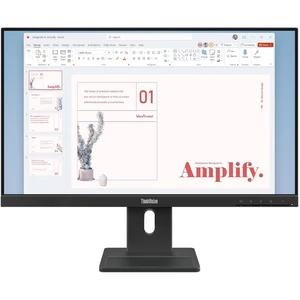 Lenovo ThinkVision E24-40 (64BAMAT1EU)