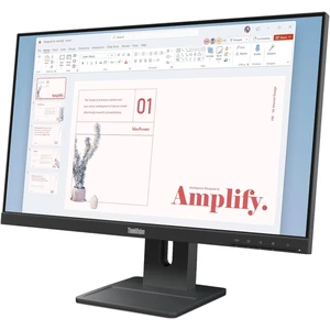 Lenovo ThinkVision E24-40 (64BAMAT1EU)