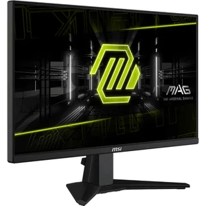 MSI MAG 255XF
