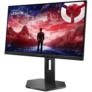 Lenovo Legion 25-10 (67D4GAC3EU)