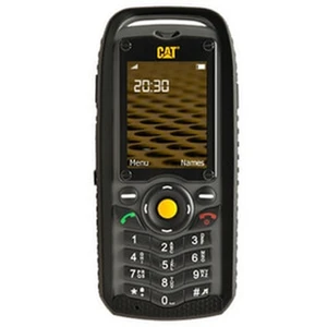 Cat B25