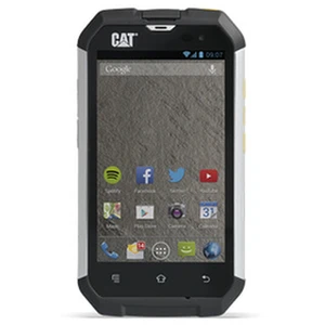 Cat B15