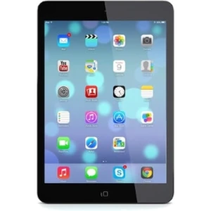 iPad mini 2 Retina