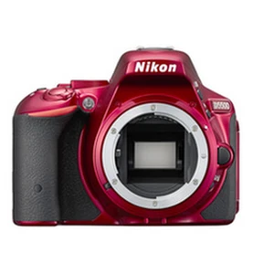 Nikon D5500
