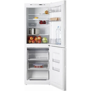 Atlant XM 4619-100