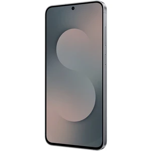 Samsung Galaxy S25 FE