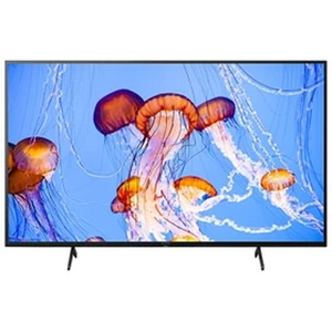 Sony KD-55X81J