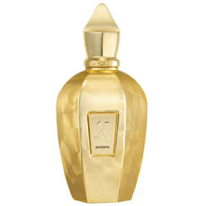 Xerjoff Accento Overdose EDP 100 ml