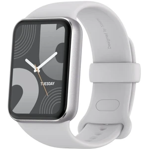 Xiaomi Smart Band 9 Pro Moonlight Silver