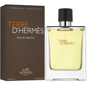 Hermes Terre D'Hermes EDT 100 ml