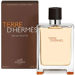 Hermes Terre D'Hermes EDT 200 ml
