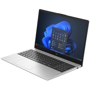 HP 250R G10 (CW1B0AT)