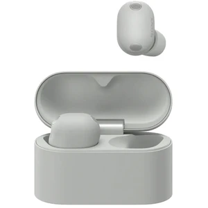 Sony WF-1000XM6 Silver