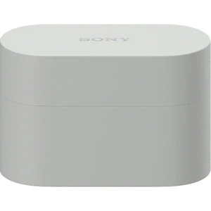 Sony WF-1000XM6 Silver