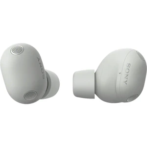 Sony WF-1000XM6 Silver
