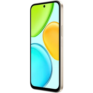 Honor X6e
