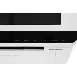 Pantum BM2300