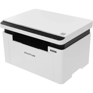 Pantum BM2300