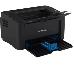 Pantum P2207
