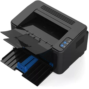 Pantum P2207