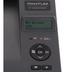 Pantum P3300DW