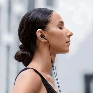 Xiaomi Type-C Earphones M2413E1 Black