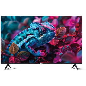 Riffel 55QLED 6612