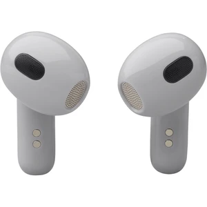 JBL Live Flex 3 Silver