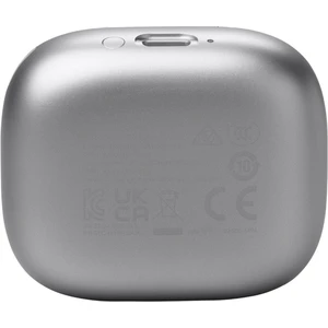 JBL Live Flex 3 Silver