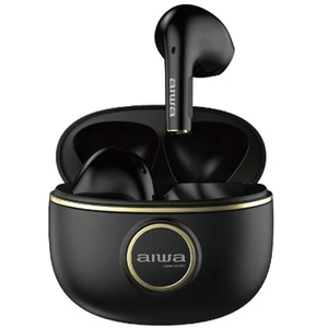 AIWA AT-X80V Black