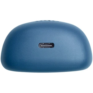 JBL Tune Flex Blue