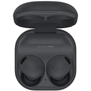 Samsung Galaxy Buds 2 Pro Graphite