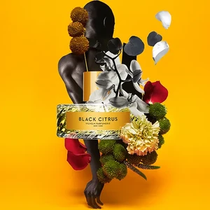 Vilhelm Parfumerie Black Citrus EDP 100 ml