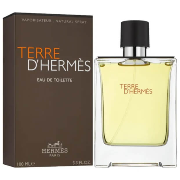 Hermes Terre D'Hermes EDT 100 ml