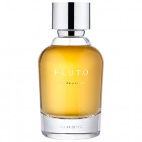 Nicheend Pluto EDP 100 ml